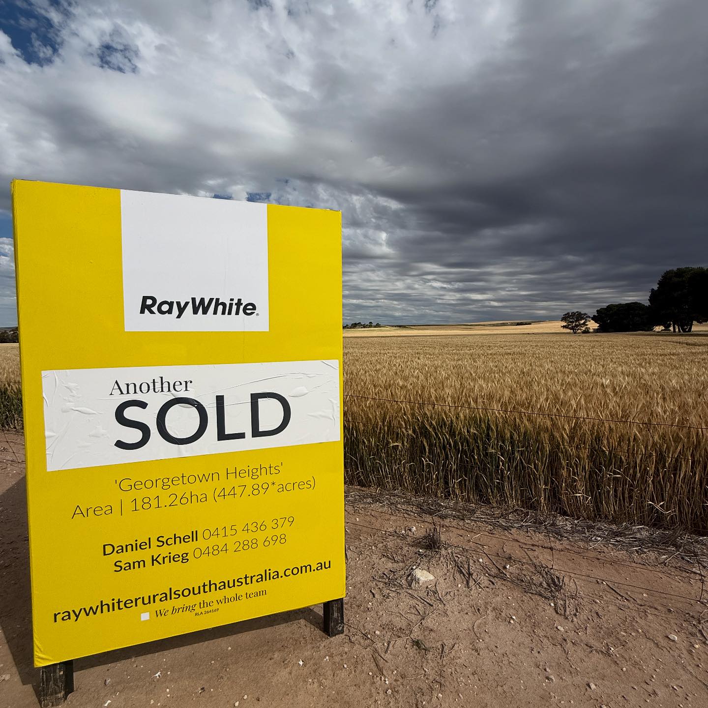 Geoff and... - Geoff and Daniel Schell, Ray White Rural SA