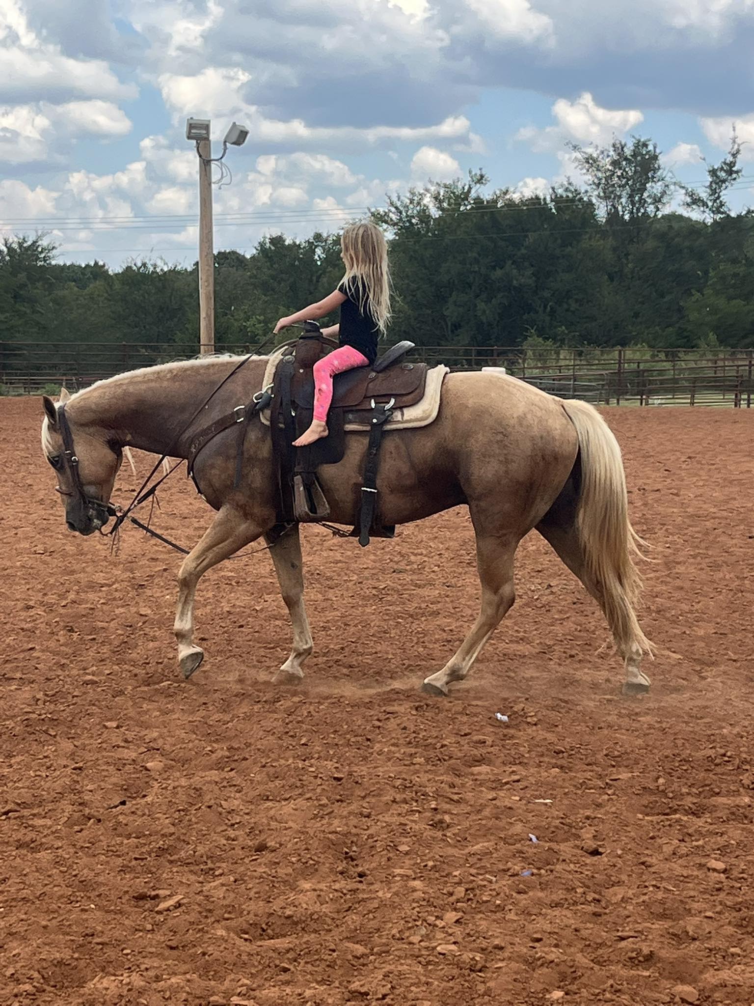 Triple P Ranch