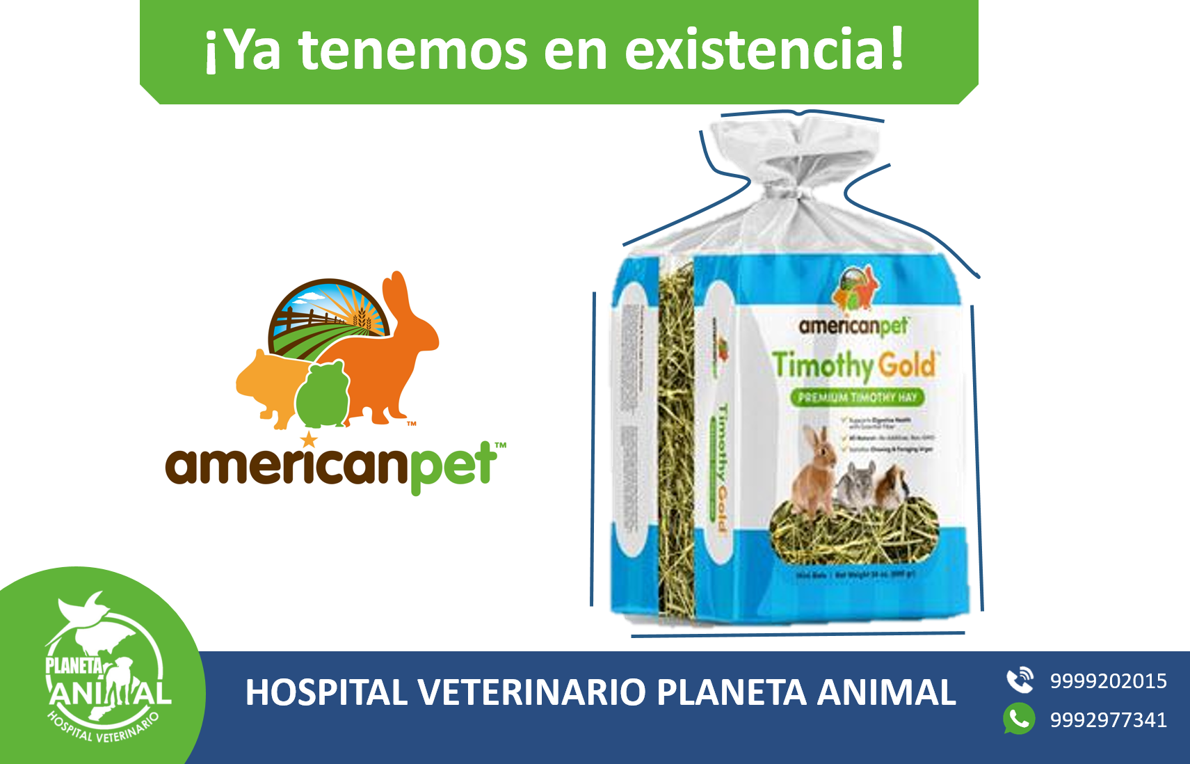 Medicina y Cirugia para perros y gatos. - 🐰 Pasto Timothy 100% natural ...