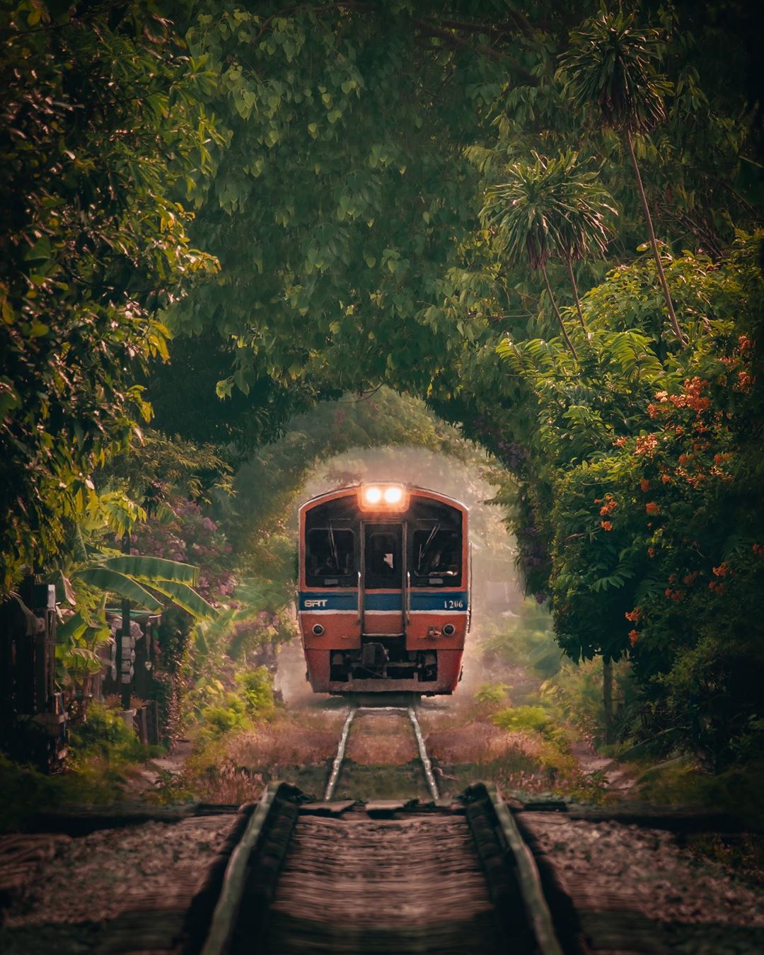 Exotic - Insta: /kankankavee Planning for a day trip to Chiang Mai from ...