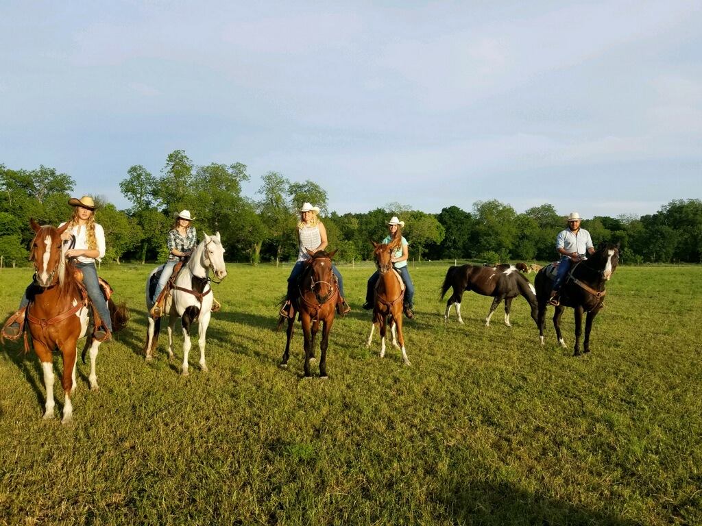 Lone Star Ranch & Rodeo | Austin TX