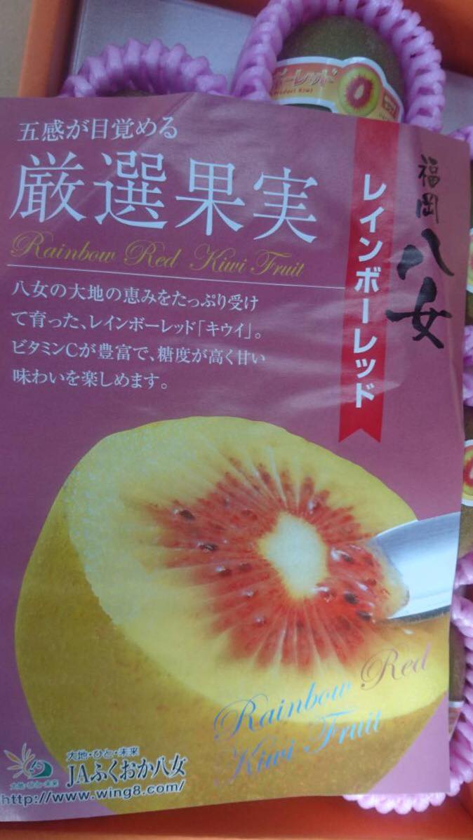 滿鮮 大嘴鳥奇異果日本抵台最大顆福岡紅 奇異果禮盒出貨 Facebook