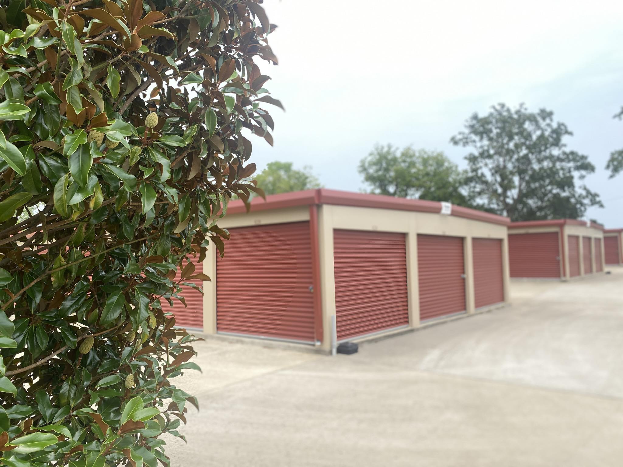 Affordable Storage Guys Springfield