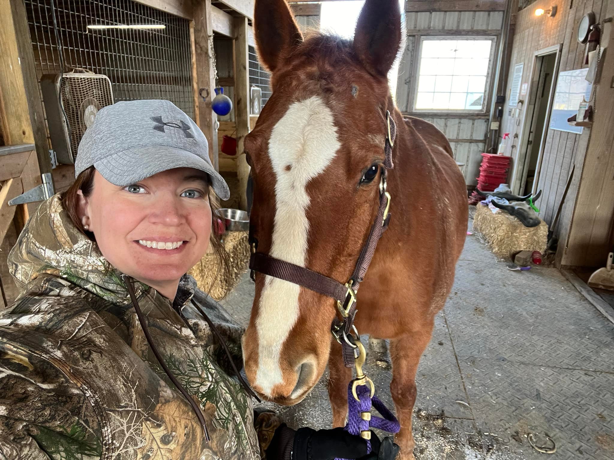 Four Mane Farm, LLC.