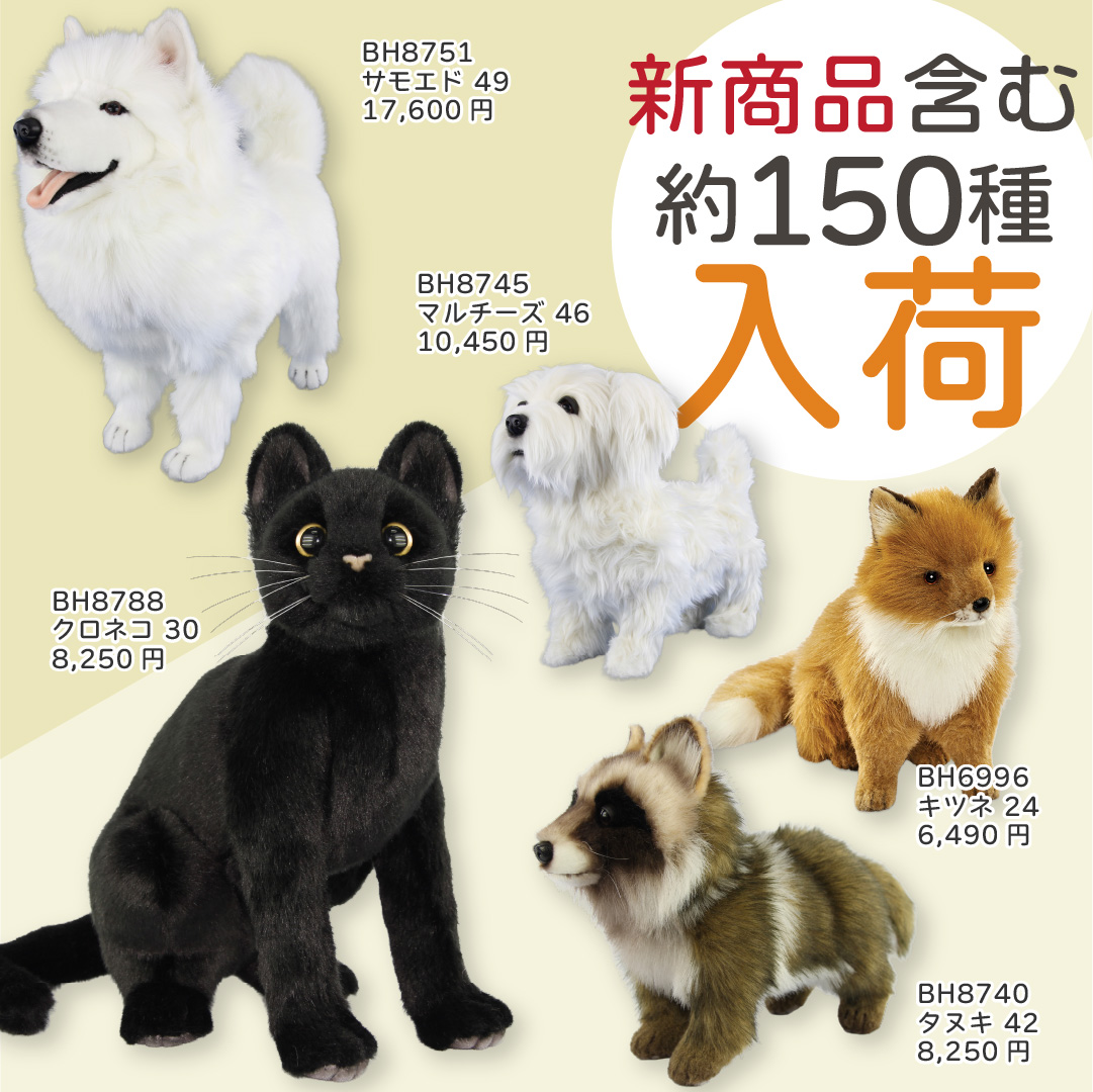 明日16日は世界マレーグマの日🐻 レッドリストで「危急種（VU）」に