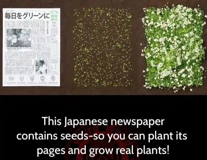 Unique souvenir in Japan: printed local newspaper front page
