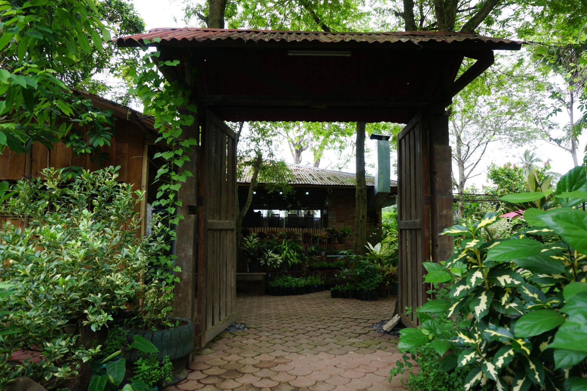 A Restaurant inside an Organic Farm and... - Davao Food Guide | Facebook
