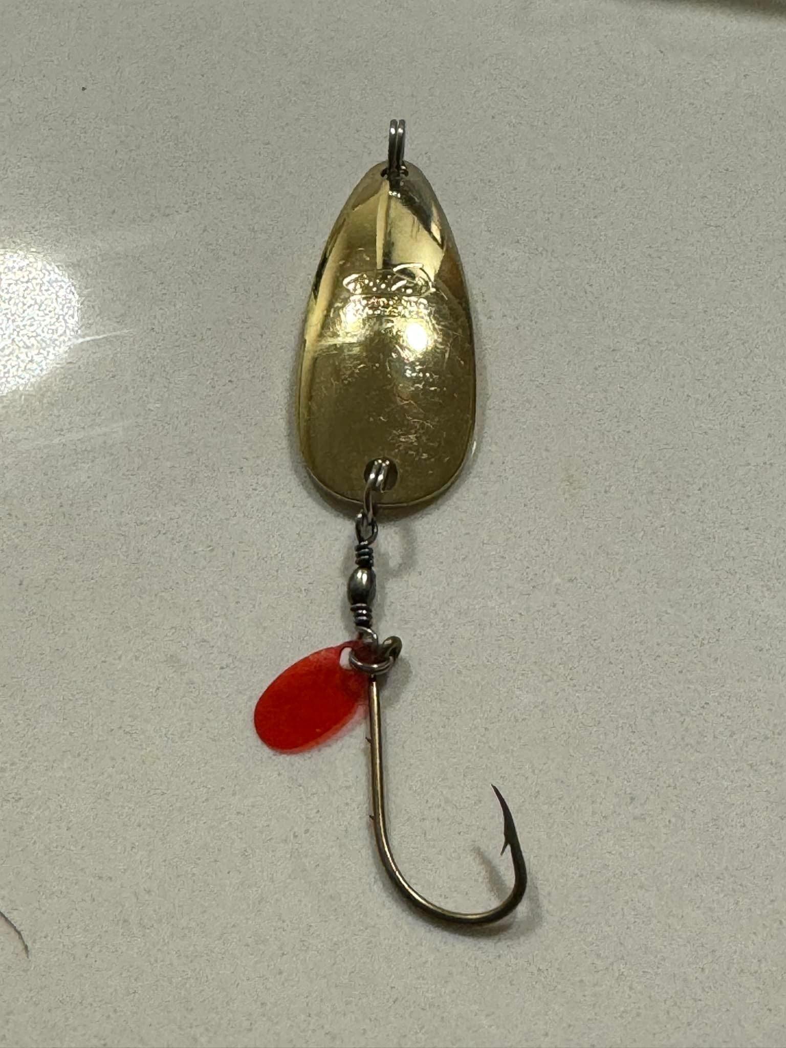 bass pro shops yellow and black fishing pole catfish Okuma Cat Slayer Spinning Combo | CS-762MH-6000NY spooled and ready to Daiwa BG 3000 Series Badge:SKS-Exclusive Color:Mackerel HD (AHA0109)
