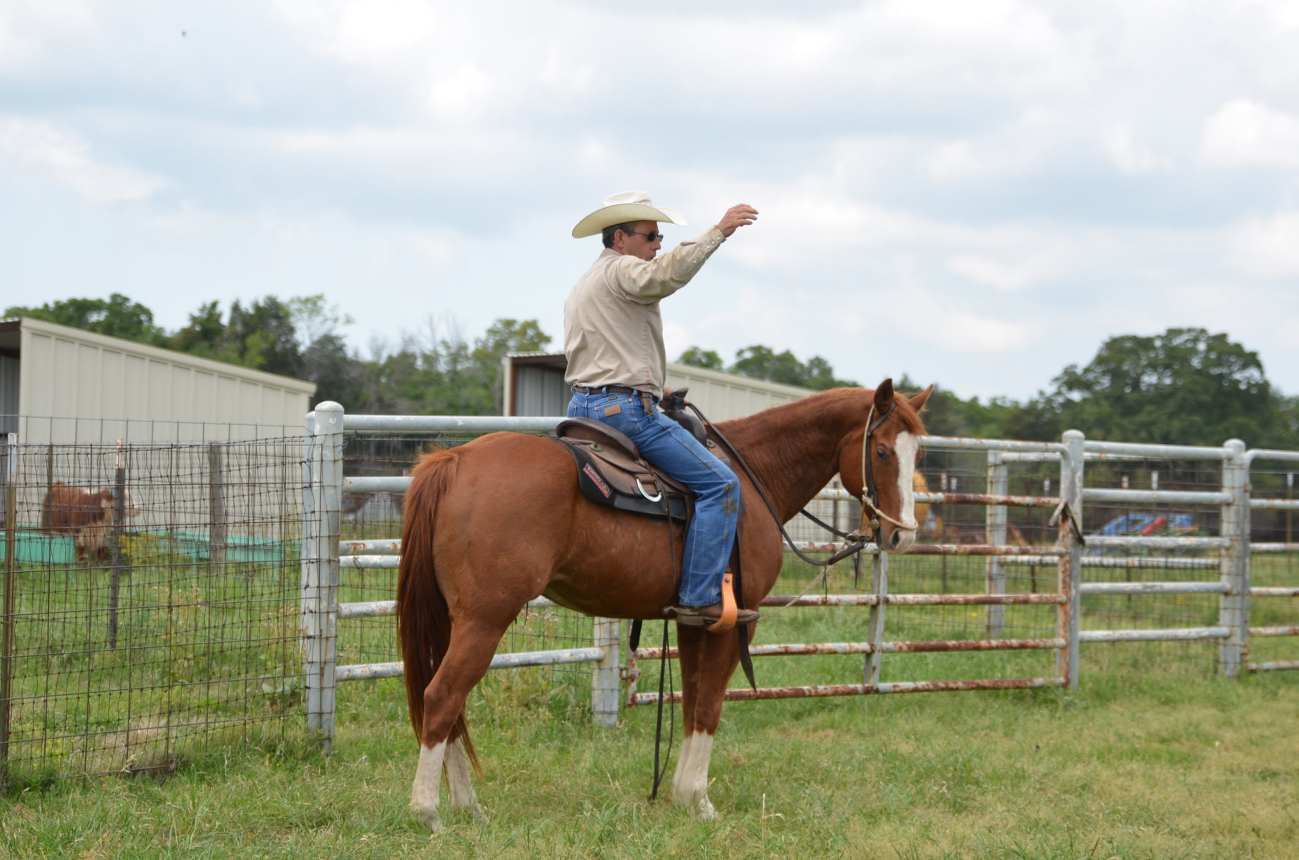 Iron Lake Ranch | Athens TX