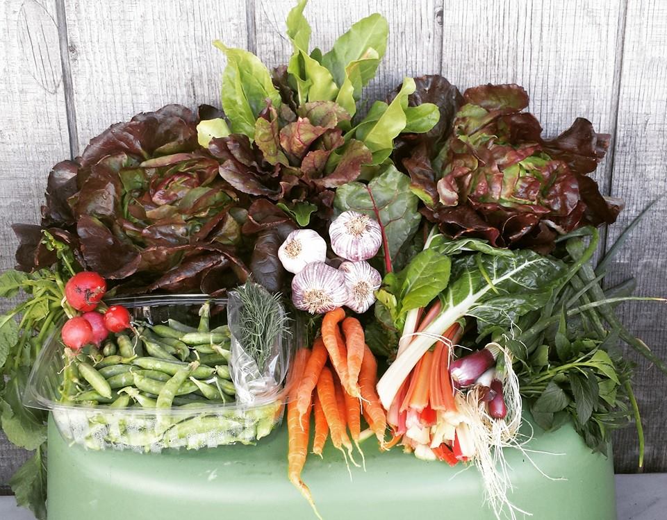 High Desert Produce Co. | West Valley City UT