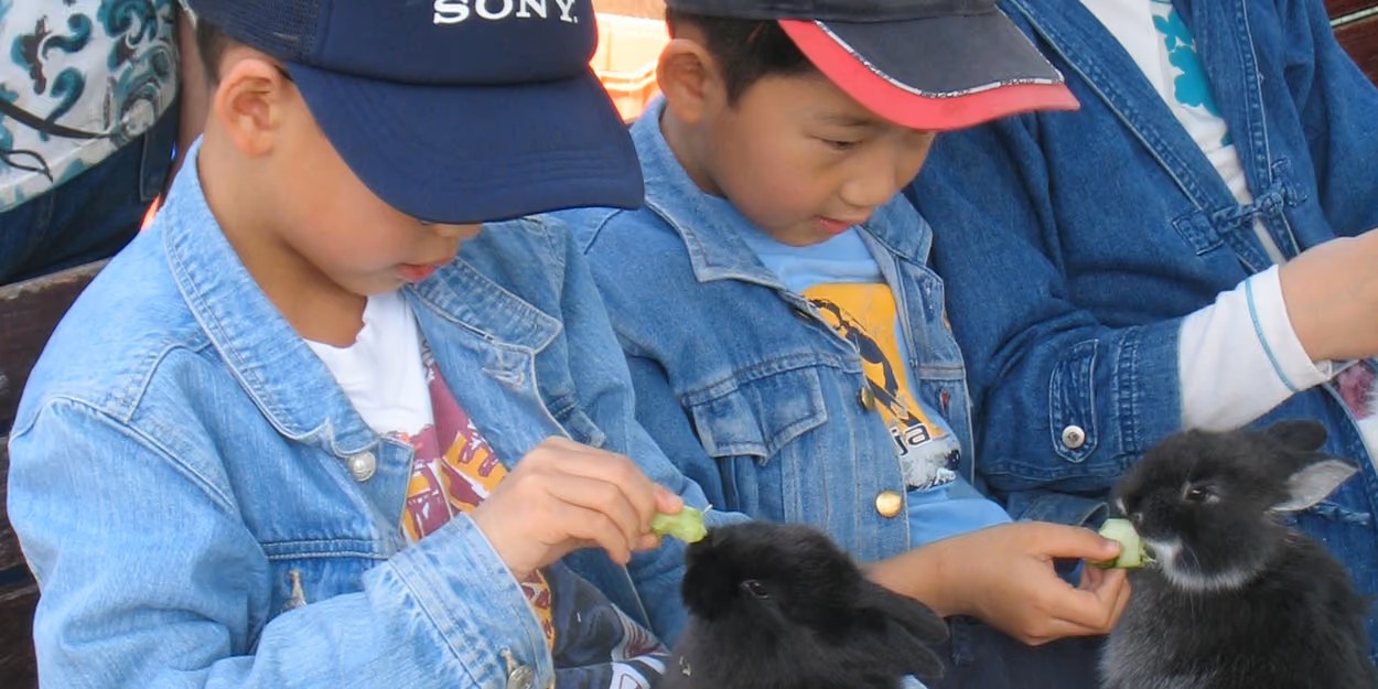 Farm Animals: Meet your furry friends | Spring School Holidays