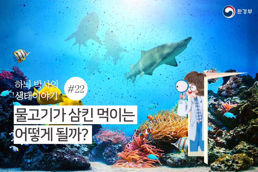 대한민국 환경부 - 물고기들은 맛을 느끼는 감각 기관인 '미뢰'가 입, 수염, 지느러미 등 온몸에 나뉘어...