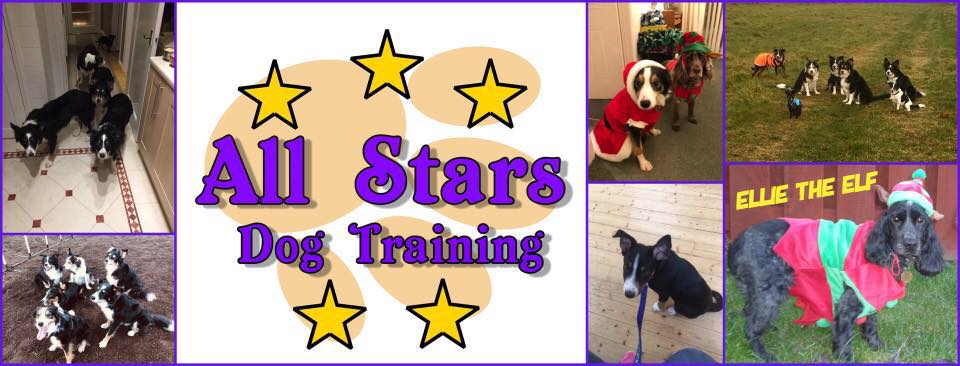 All Stars Dog Training Public Page | Stonehaven