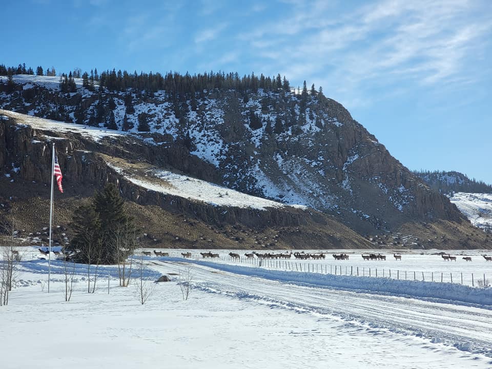 RC Guest Ranch | Creede CO