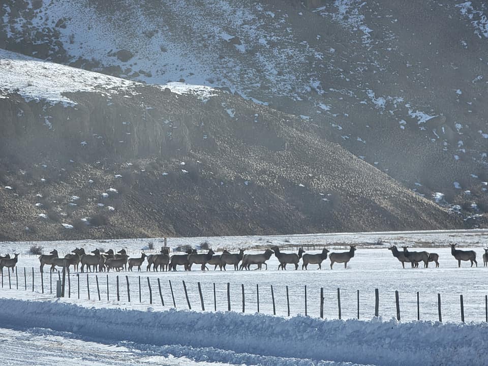 RC Guest Ranch | Creede CO