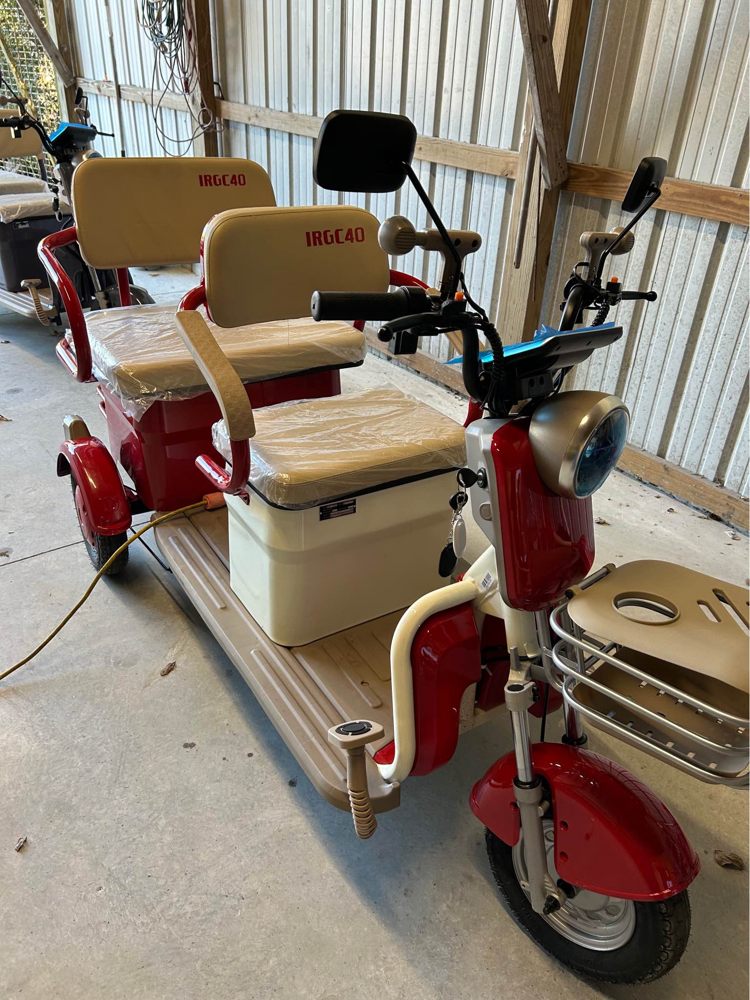 Mini Golf Cart / Rickshaw - Golf Carts - Steinhatchee, Florida ...
