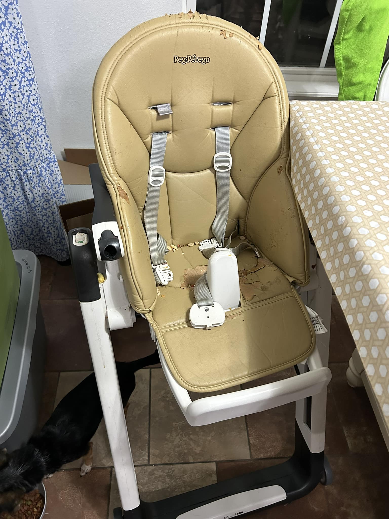 stokke tandem stroller Xplory X Complete This sturdy and maneuverable Gorge Fly Shop Blog: Color:128 Parts profile