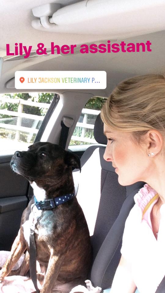 Anyone else have a sidekick for when they are out working? Show us your ...