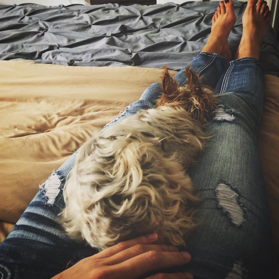 Britley Ritz - My Zing loves her snuggle time. Especially...