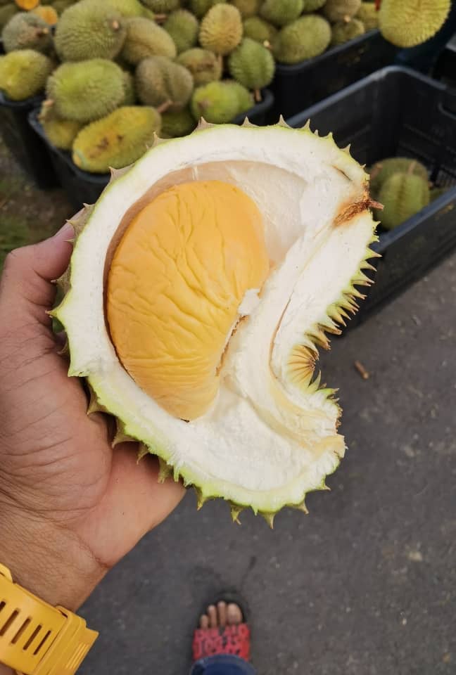 OH MY PERAK - 📍Berlokasi di hadapan Shell Langkap,Perak... | Facebook