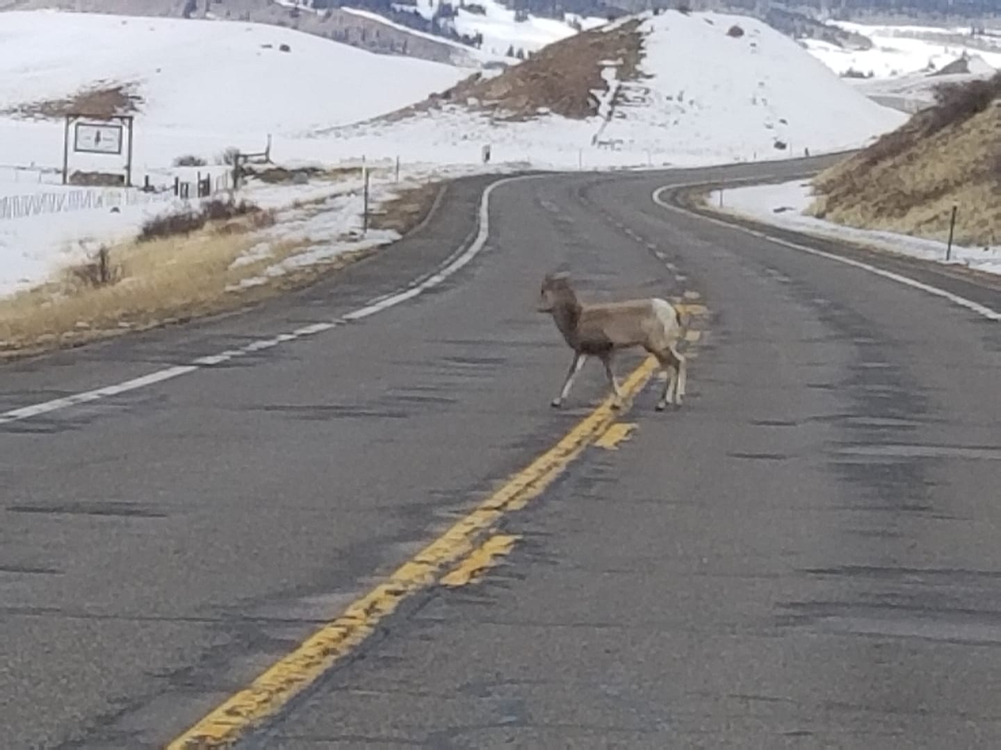 RC Guest Ranch | Creede CO