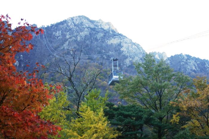 Gangwon State - A place where you can see the precious...