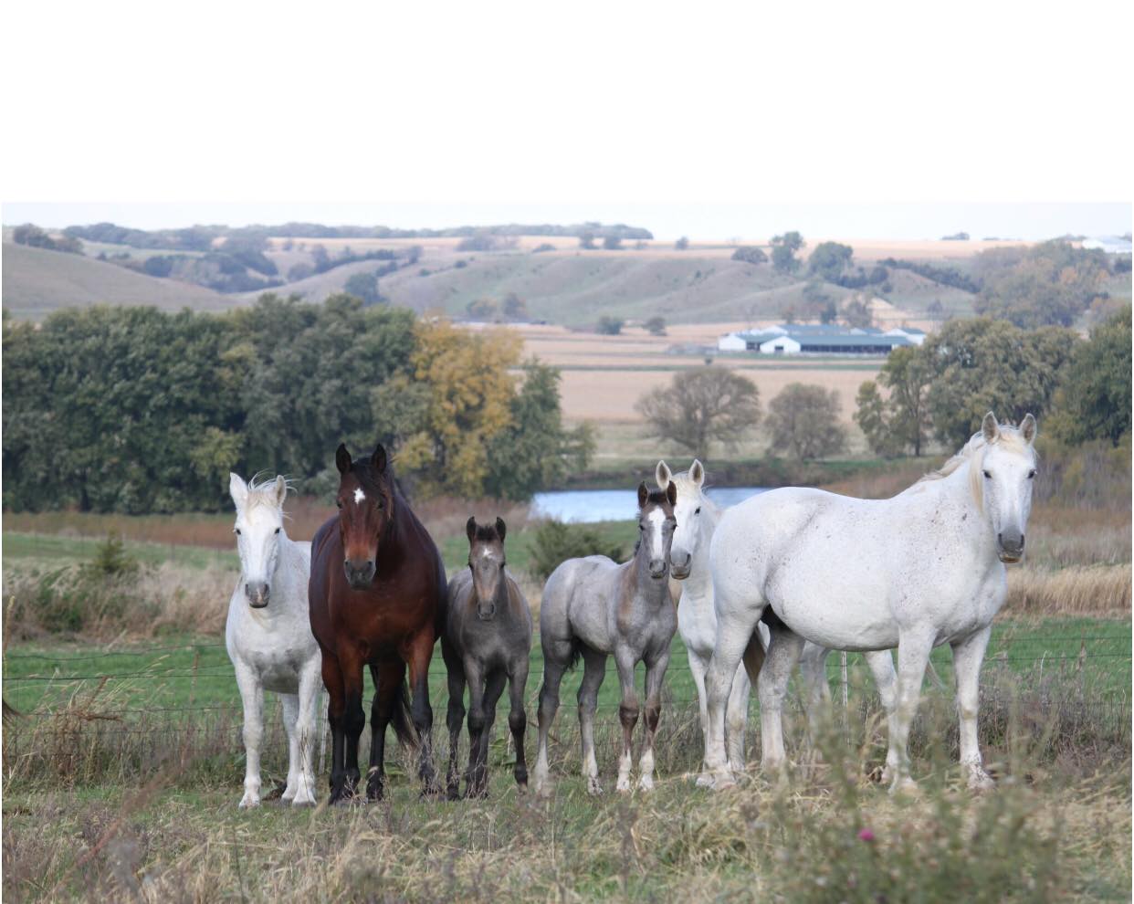 Happy Mother’s Day from all of us at... - Barnes PRCA Rodeo