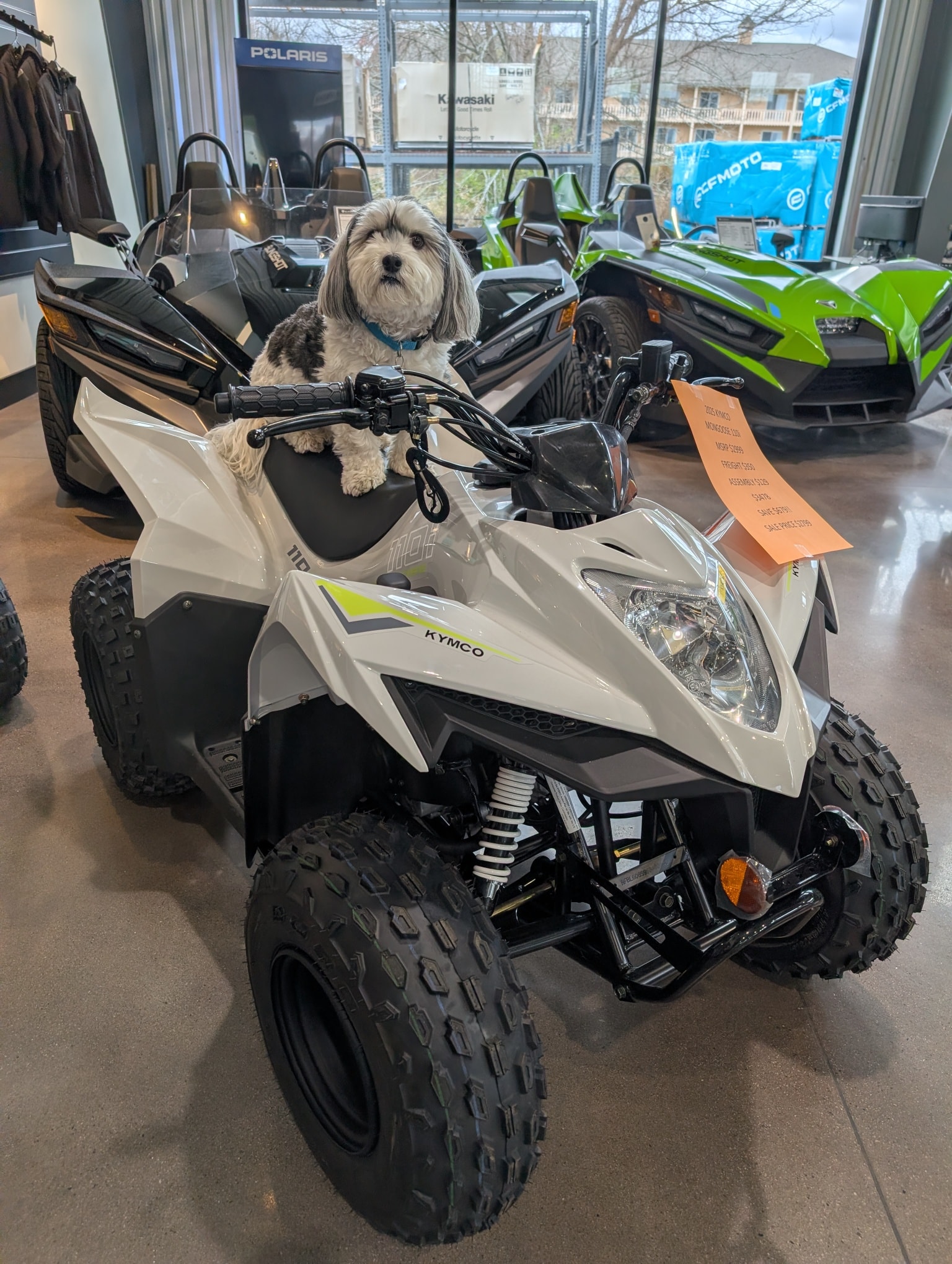 Henry's Christmas special! 2025 Kymco Mongoose 110 EFI youth ATVs
