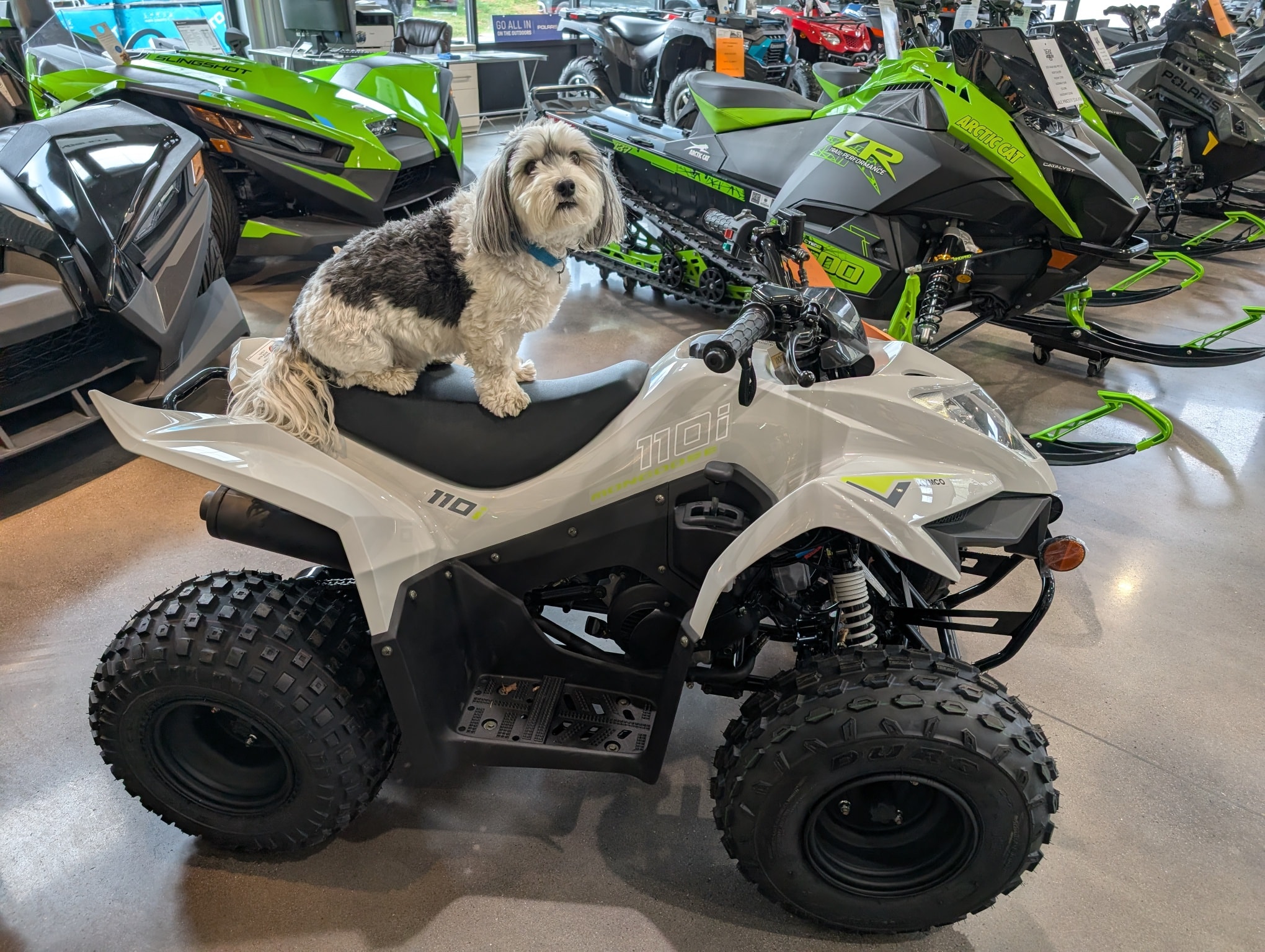Henry's Christmas special! 2025 Kymco Mongoose 110 EFI youth ATVs