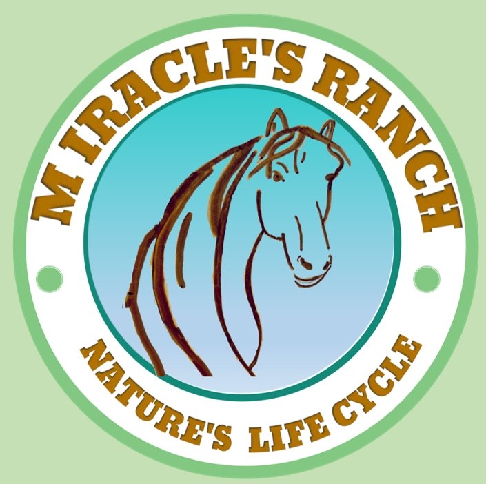 Miracle's Ranch | Davie FL