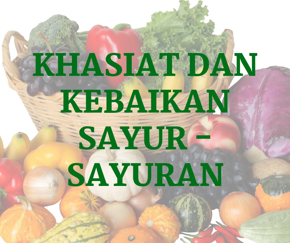 Tips Sendi Sihat Gamat Akuariz Khasiat Dan Kebaikan Sayur Sayuran Sebelum Ini Saya Ada Berkongsi Khasiat Dan Kebaikan Sayuran Hijau Sayur Kita Sedia Maklum Sayur Merupakan