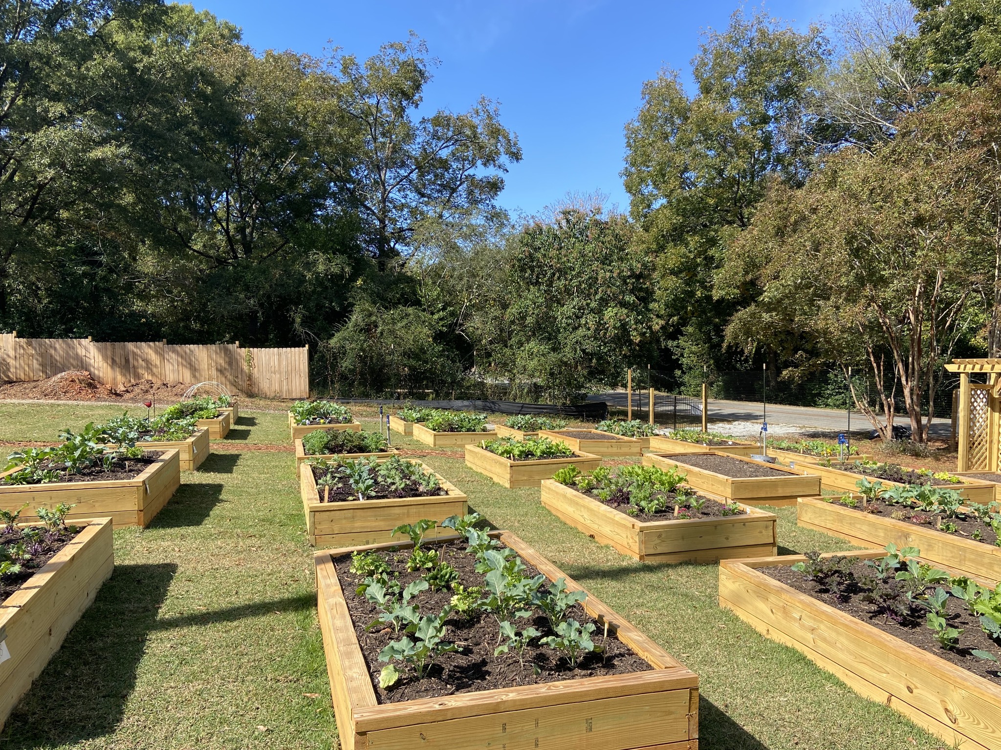 View of Fifth Street Community Garden | Madison GA
