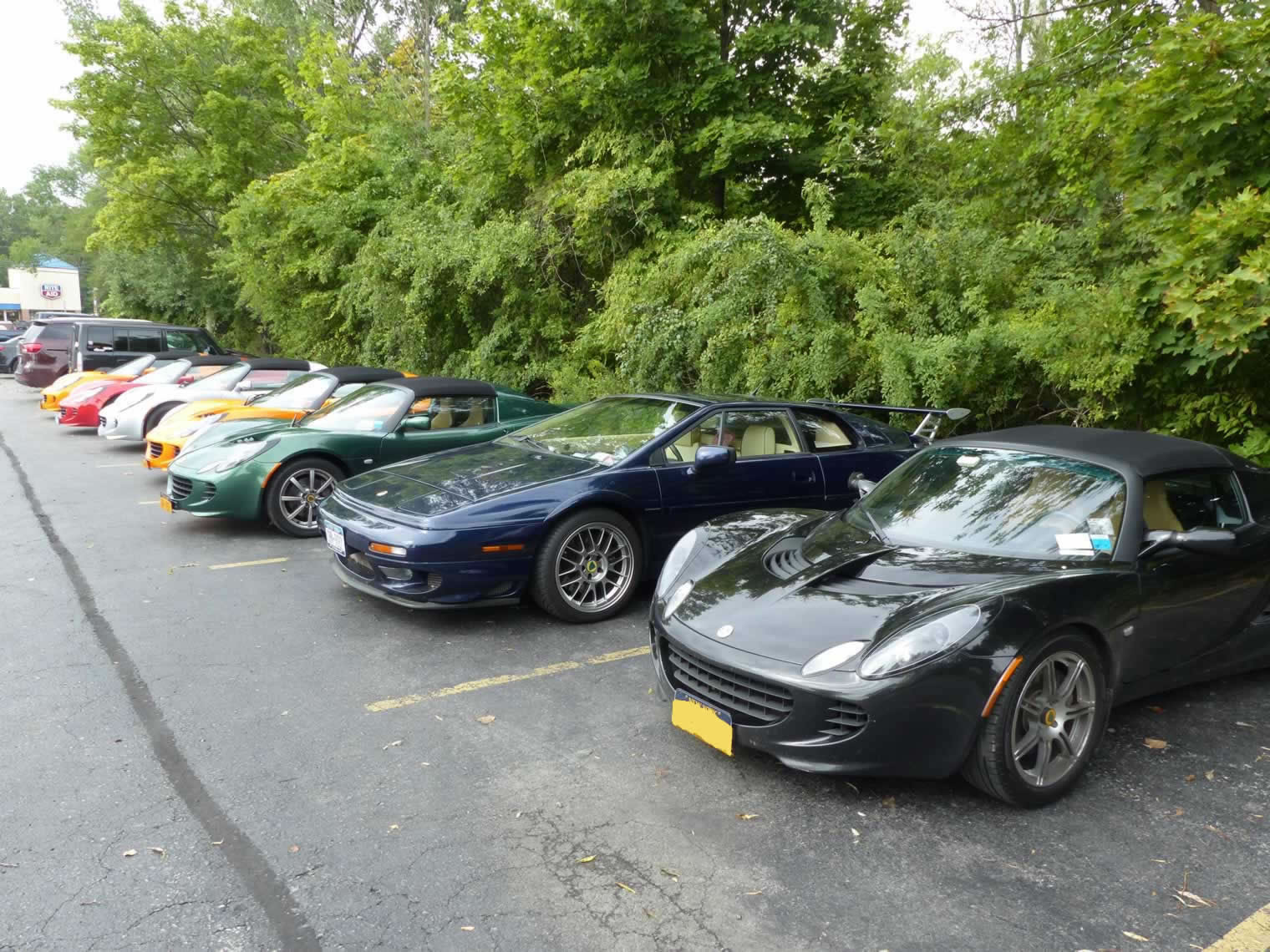 Lotus Owners of New York (LOONY)