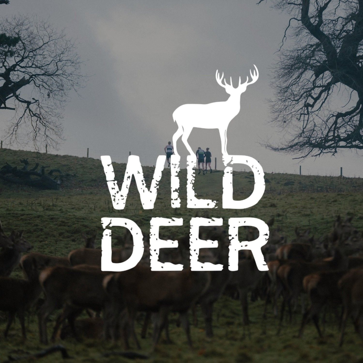 Hartlepool Half Marathon - exciting... - Wild Deer Events | Facebook
