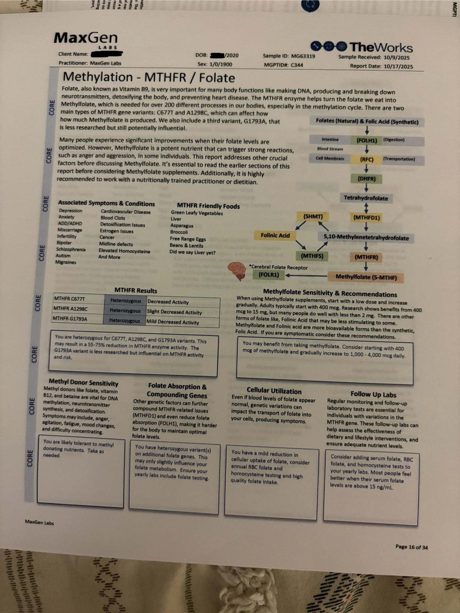 MTHFR Gene Mutation | This is a page in the gene report we received on ...