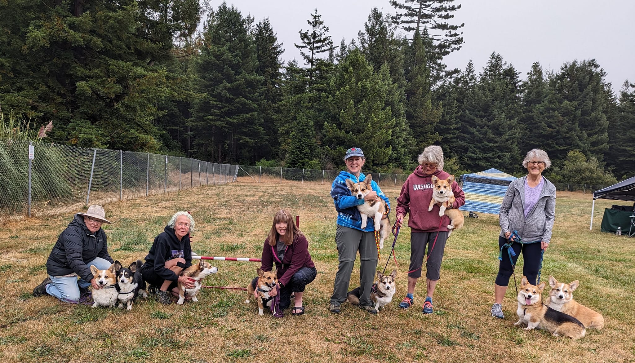HumDOG Summer CPE Trial