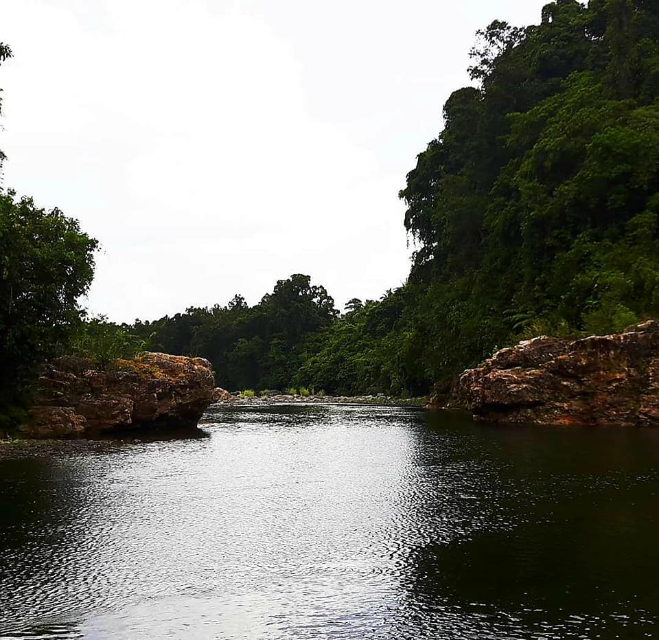 Mount Labo Watershed-AMMNBA - Home