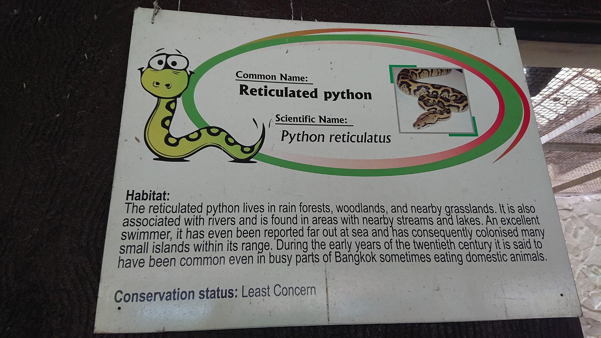 Philippines Herpetology - I guess the hybrid is considered a ...