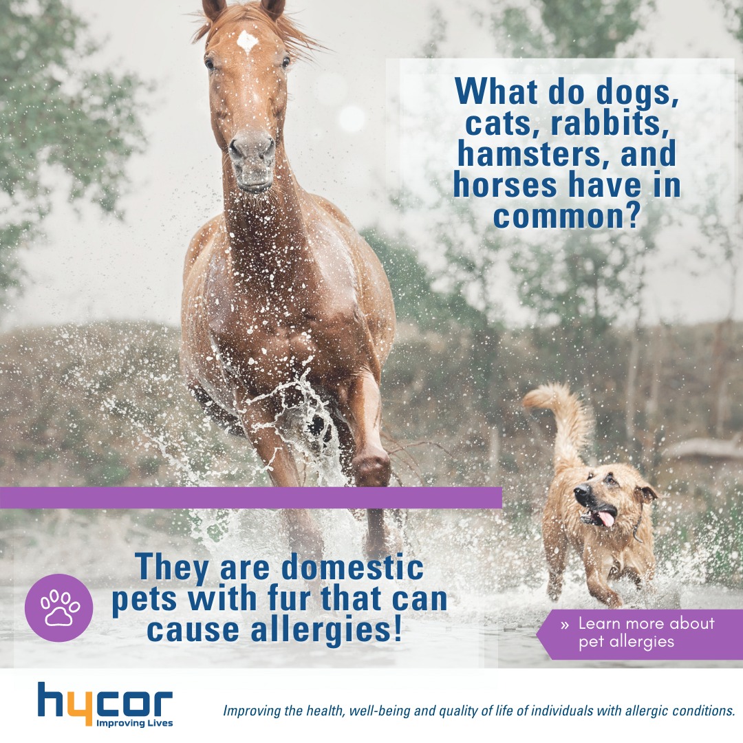 HycorBiomedical - It seems like a little thing, but for pediatric ...