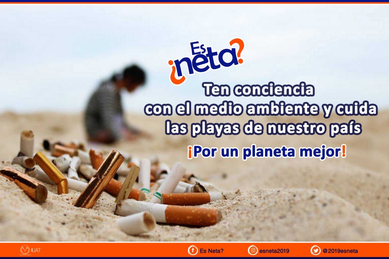 Es Neta?