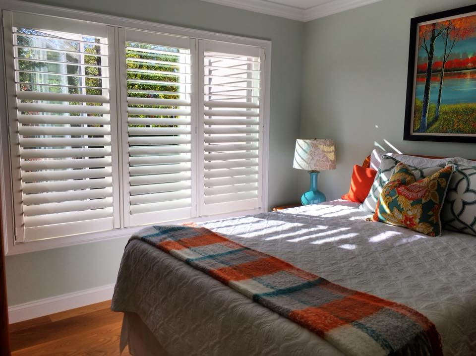 Exciting Windows by SSP Designs