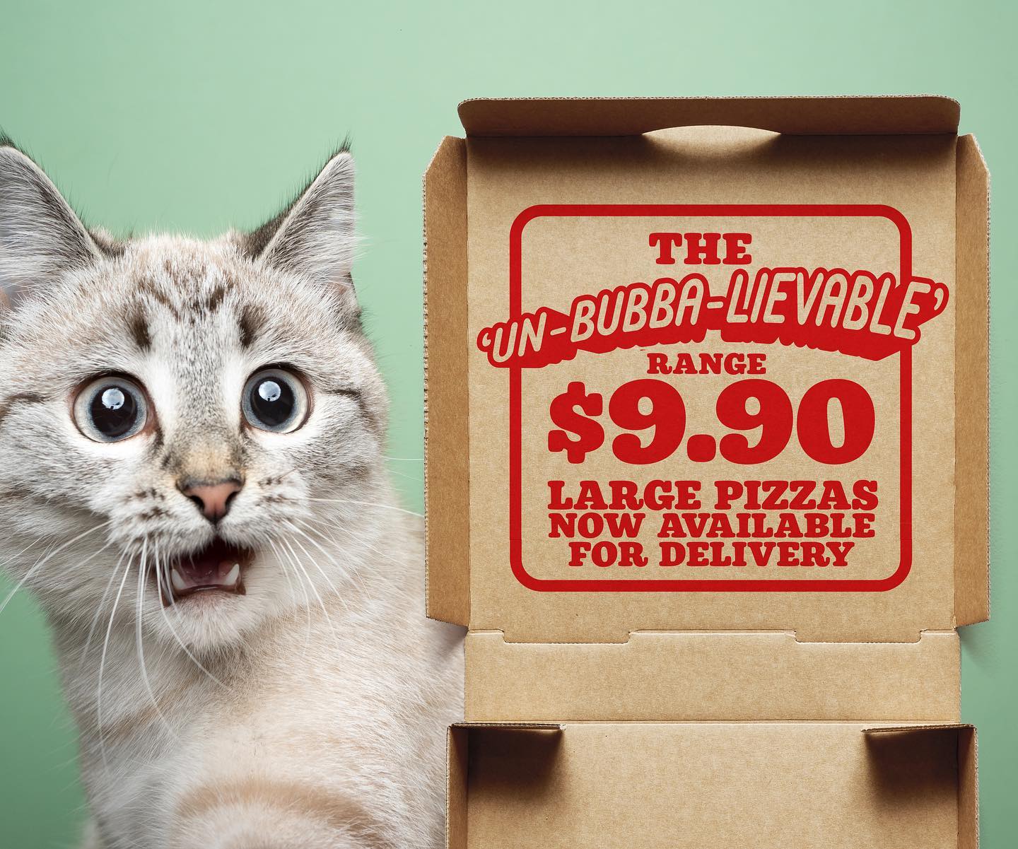 Bubba Pizza - Our Un-Bubba-lievable range of $9.90 pizzas...