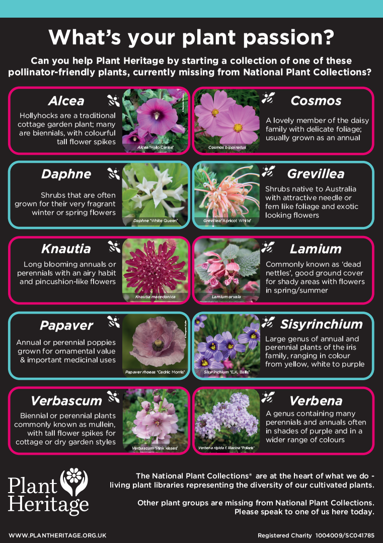 Plant Heritage - These 10 important #pollinator plants are...