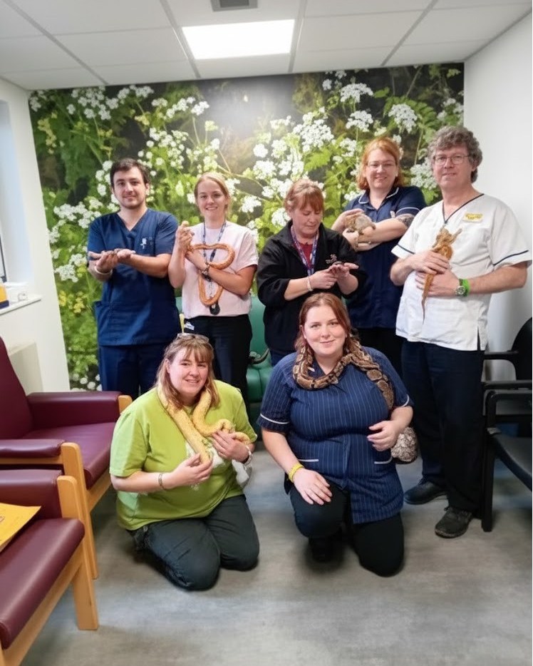 CommunityAd - 🦎 Kent and Medway Mental Health NHS Trust teams have been ...