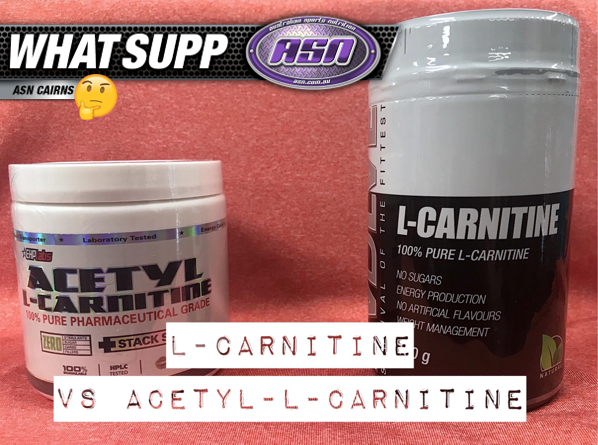 l-carnitine versus acetyl-l-carnitine What do you say about as a brain supplement? Any experience? גודל:250 גרם (8.8 אונקיות) how many days does MH