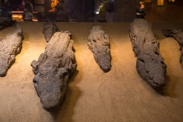 Egypt Old History | Sobek (also known as Sebek, Sebek-Ra, Sobeq, Suchos ...
