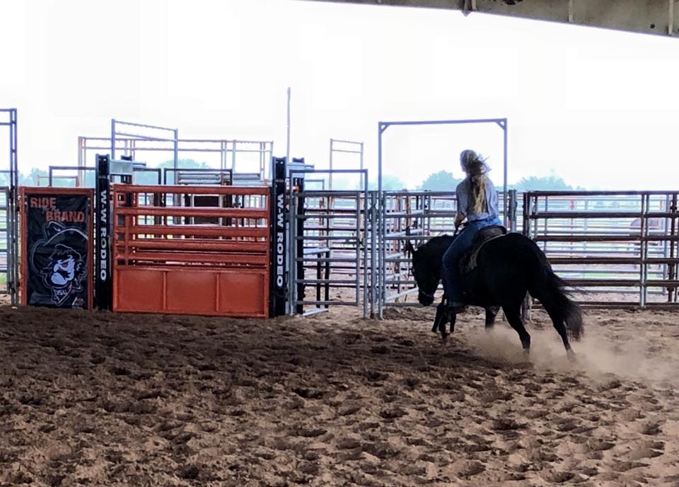 The OSU Spirit Rider originated with... - OK State Rodeo Team | Facebook