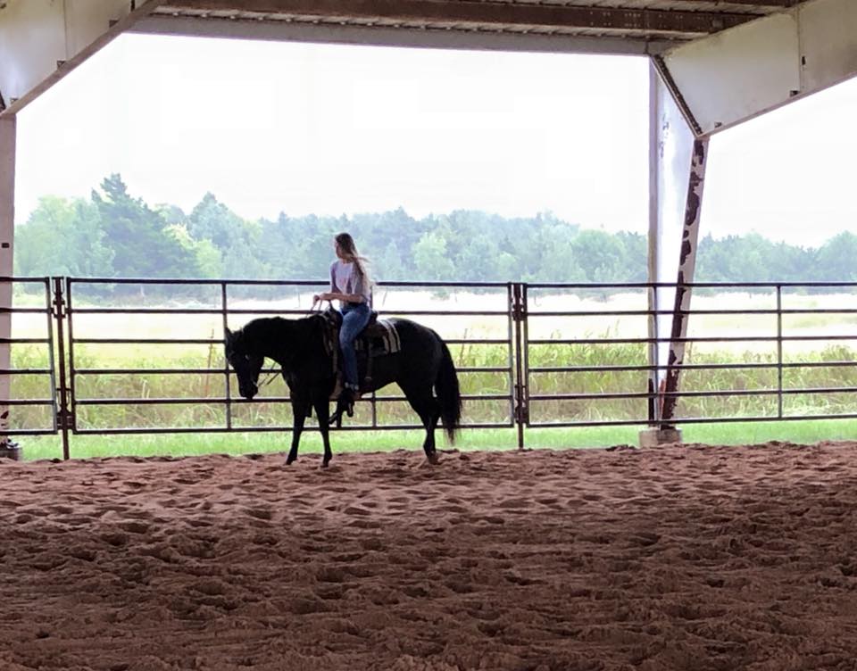 The OSU Spirit Rider originated with... - OK State Rodeo Team | Facebook