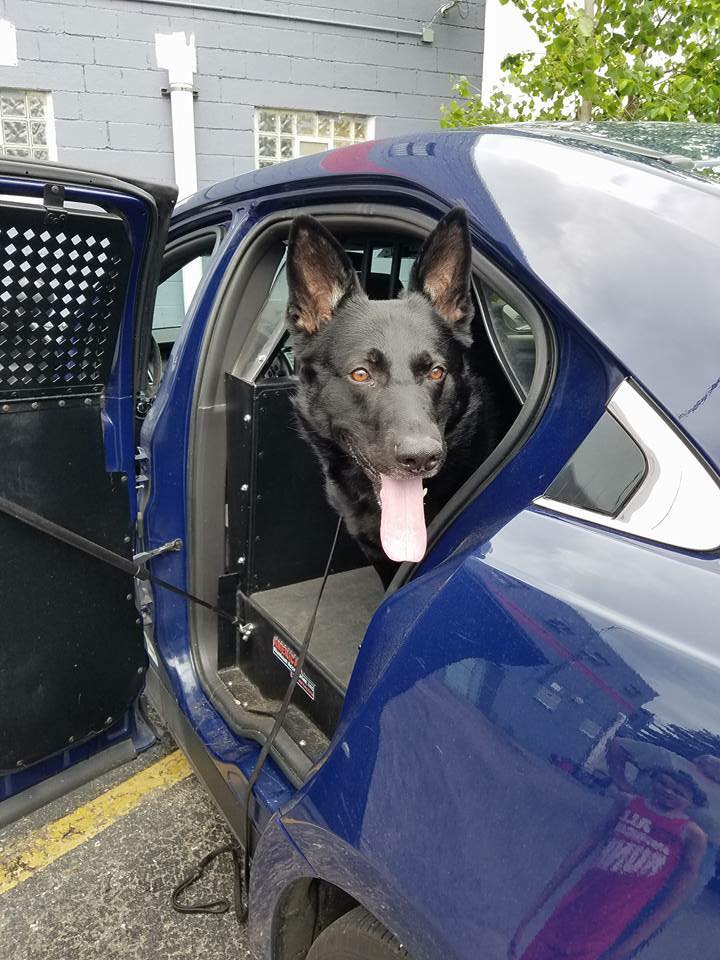 Congrats to K9 Rudy ,... - Garden City Police Department, MI