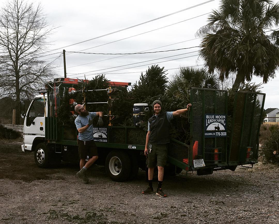 Blue Moon Landscaping | Columbia SC